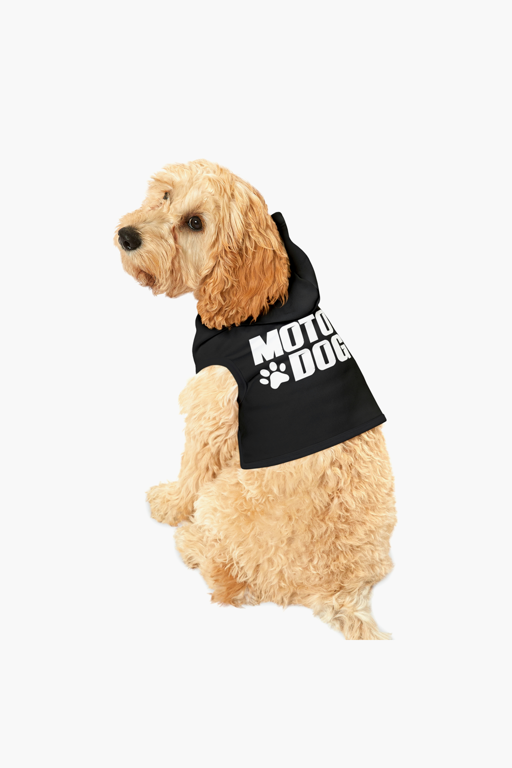 Moto Dog Hoodie